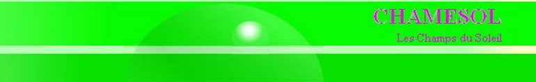 Ville de Chamesol